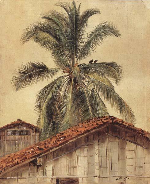 Frederic E.Church Palm Tres and Housetops,Ecuador oil painting image
